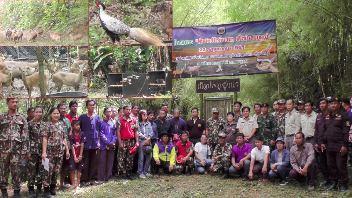 สัตว์ป่าควรอยู่คู่กับป่าช่วยกันดูแลรักษา..!!สำนักบริหารพื้นที่อนุรักษ์ 11 จัดปล่อยสัตว์ป่าคืนสู่ธรรมชาติกว่า 600 ตัว