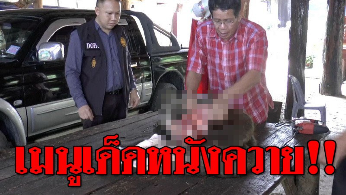 เปิบพิสดาร ! อาชีพแปรูปหนัง "ควาย" พร้อมโชว์หลากหลายเมนูหนังควาย ที่คนชิมต้องร้องว้าวกับความอร่อย!? (ชมคลิป)