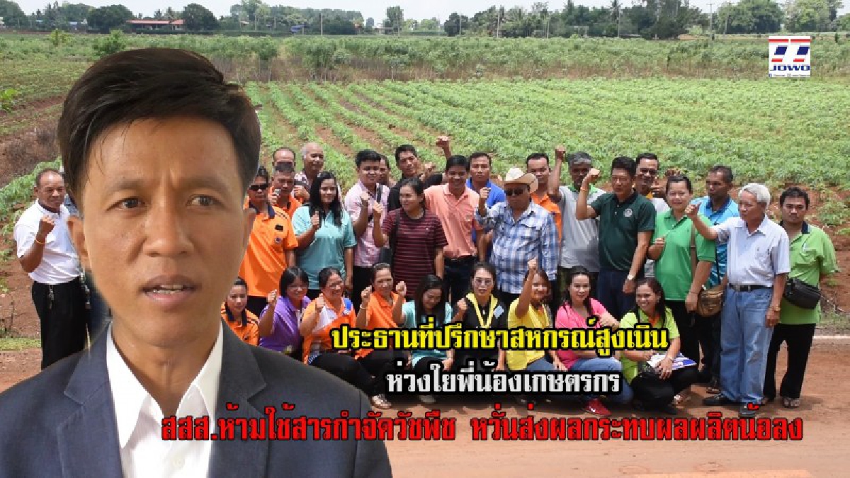 ประธานที่ปรึกษาสหกรณ์สูงเนิน แสดงความคิดเห็นกรณี สสส.สั่งเกษตรกรห้ามใช้สารกำจัดวัชพืช พาราคอต หวั่นส่งผลกระทบทำให้เกษตรกรมีผลผลิตลดน้อยลง