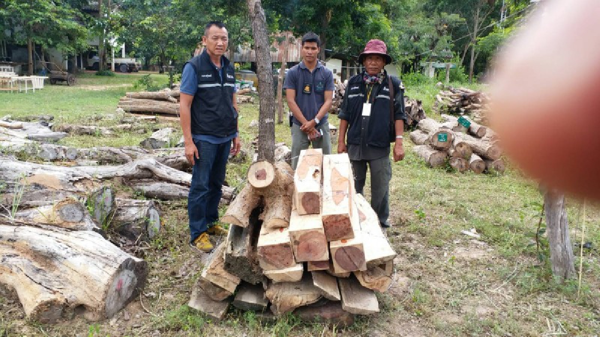 บุกทลายรัง !! มอดไม้พะยูงข้ามชาติ ชายแดนไทย-กัมพูชา แปรรูปทิ้งในบ่อน้ำ หวังรับเงินหลายล้านบาท ตร.สนธิกำลังจับรายใหญ่ในรอบปี