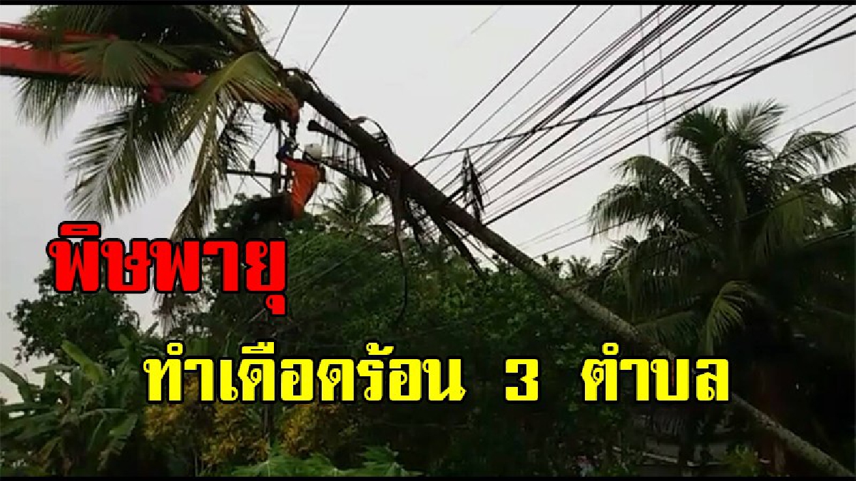 พายุพัดถล่ม ทำต้นไม้หักโค่นทับ สายไฟฟ้าขาด 3 ตำบลไร้กระแสไฟ