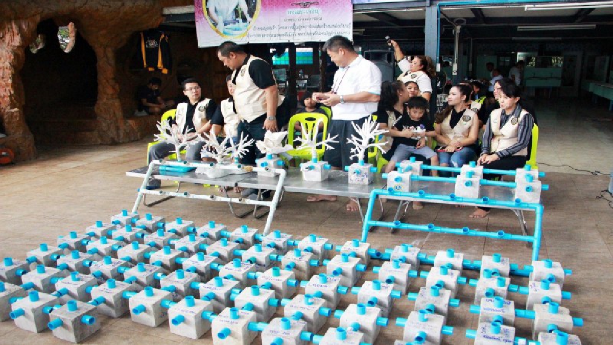 สโมสรไลออนส์พัทยา...ร่วมอนุรักษ์ทรัพยากรธรรมชาติทางทะเล!! (ชมคลิป)