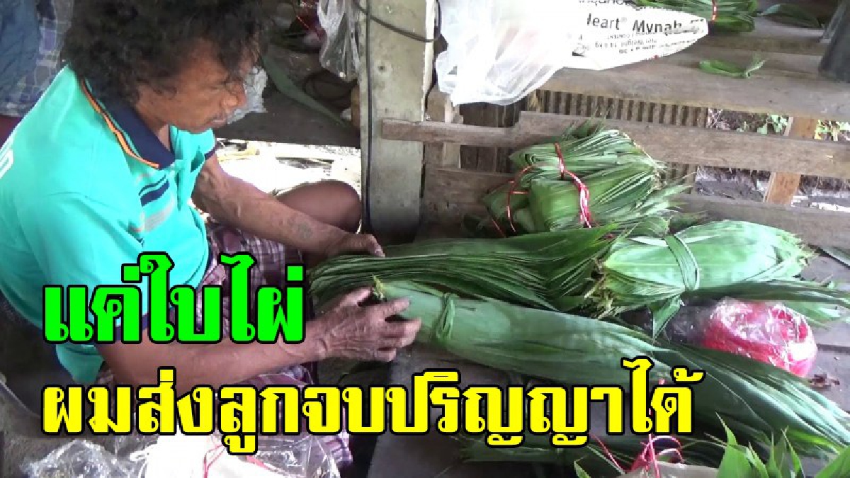 สุดทึ่ง!! หนุ่มใหญ่เมืองตรัง เก็บใบไผ่ป่าขาย จนส่งลูกจบปริญญาตรี ไม่ต้องลงทุน มีแค่แรงกายกับหัวใจที่อดทนเท่านั้น