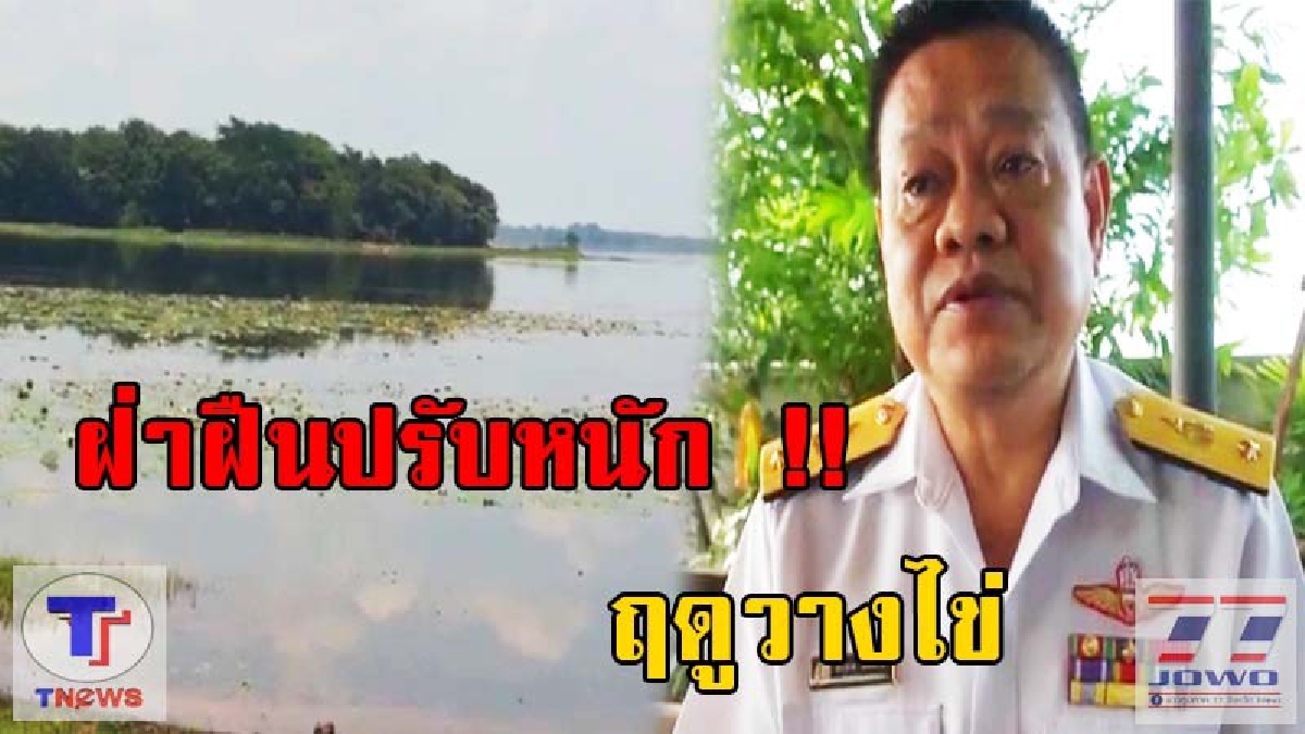 ประมงอำเภอพิมายเตือน...!! ประชาชนห้ามจับปลาในฤดูวางไข่ หากฝ่าฝืนมีโทษปรับสูง!? (มีคลิป)