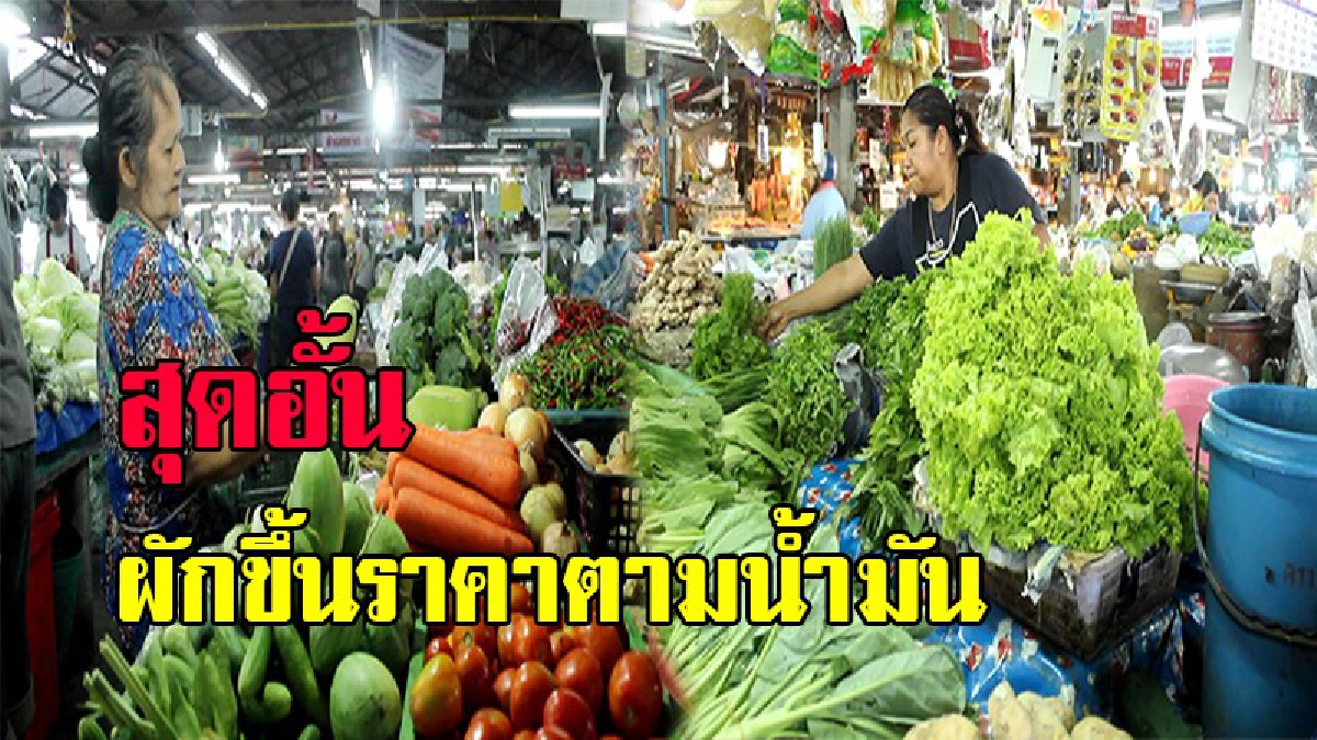 ชาวบ้านเตรียมรับกรรม !! ราคาพืชผักแห่ปรับราคาขึ้นตามราคาน้ำมันเชื้อเพลิงและก๊าซหุงต้ม จับตาแกงถุงข้าวราดแกงและอาหารกลางวันในโรงเรียน
