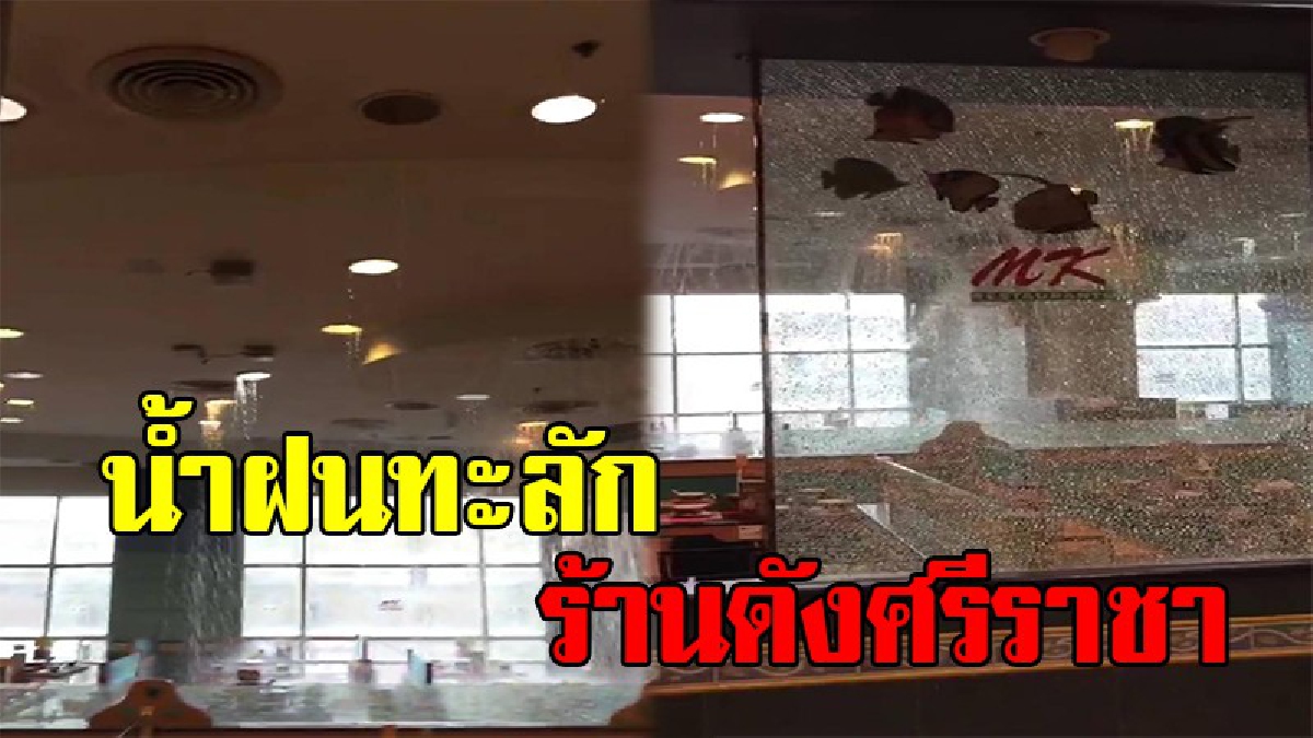 แตกตื่นกันทั้งห้าง !! คลิปจริงเสียงจริง วินาที น้ำฝนแตกทะลักเข้าห้าง MK ศรีราชา จนลูกค้าวิ่งหลบหนีแตกกระเจิงชุลมุน(ชมคลิป)