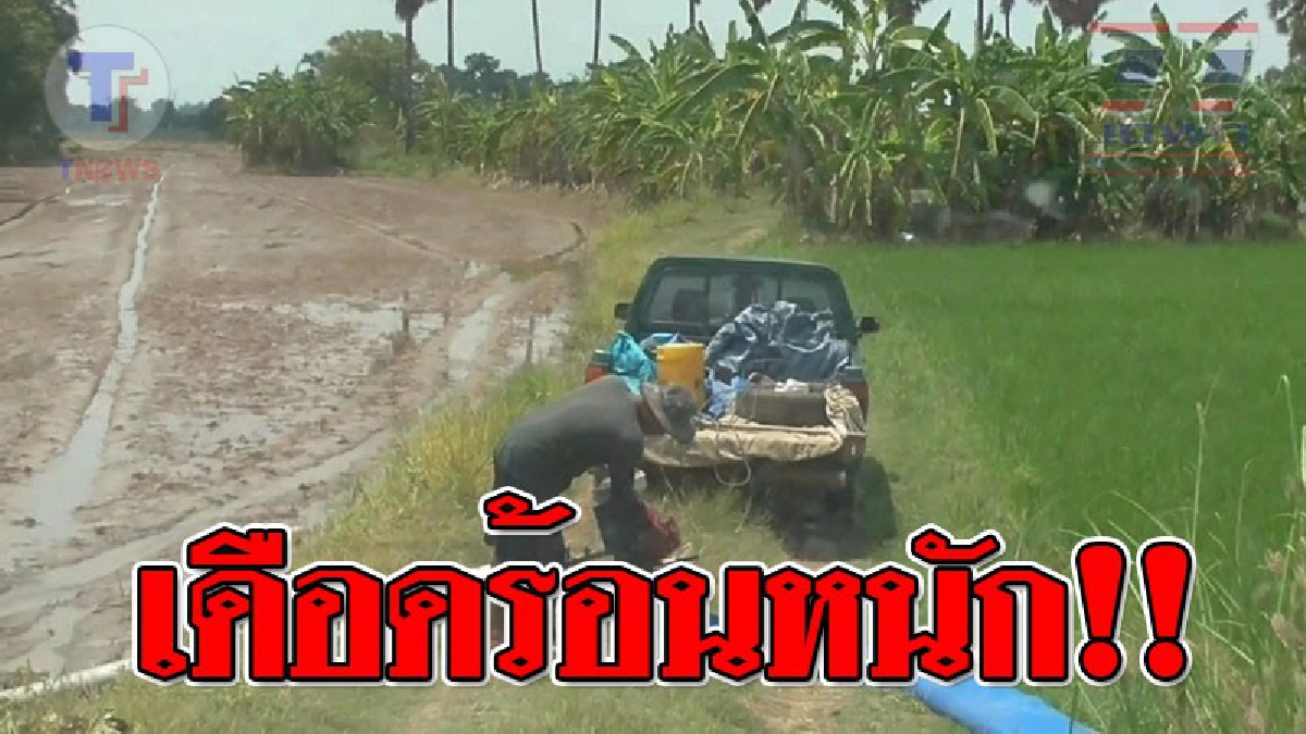 ย่ำแย่ ! ชาวนาอ่างทอง อยู่อย่างลำบาก หลังราคาน้ำมันทะลุ 30 บาท ทำให้ต้นทุนการทำนาเพิ่มสูงขึ้น วอนรัฐบาลลุงตู่ช่วยด้วย!?? (ชมคลิป)