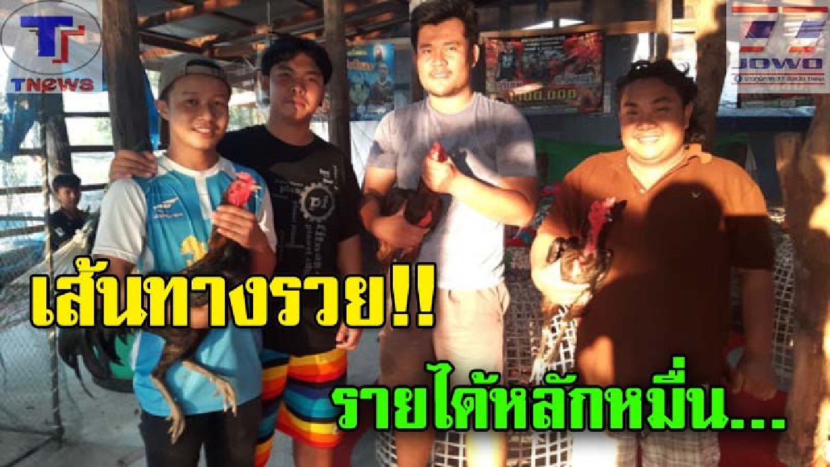ชี้เส้นทางรวย!! หนุ่มวัยเพียง 25 ปี ใช้เวลาเพาะพันธุ์ลูกไก่ขาย...รายได้หลักหมื่น (มีคลิป)