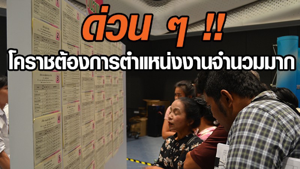 ด่วนๆ !! โคราชต้องการตำแหน่งงานจำนวมมากภายในวันที่ 25 พ.ค.นี้