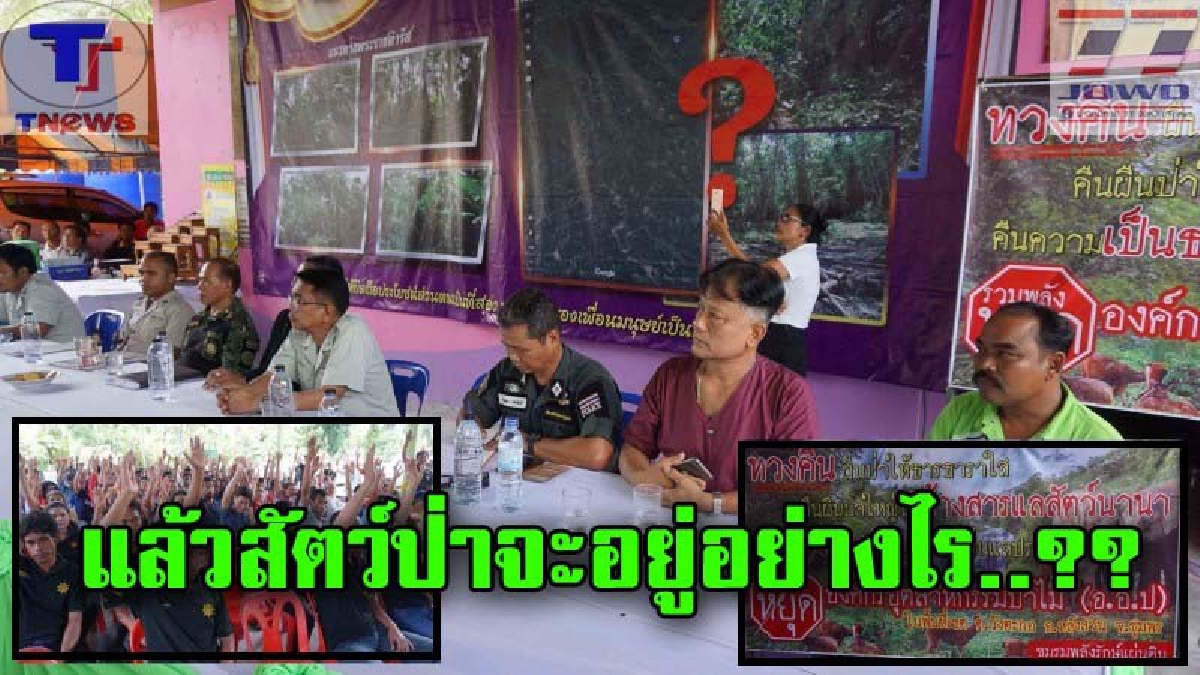สลด!! โค่นป่าดิบปลูกทุเรียน ชาวบ้านค้าน ทำลายที่อยู่ช้าง ป่าต้นน้ำ (ชมคลิป)