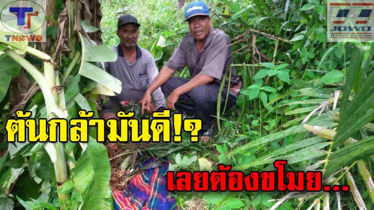 ต้นกล้ามันดี!! ย่องเบาขโมยต้นปาล์ม จนท.พบเบาะแสสำคัญ เร่งล่าตัวคนร้าย (ชมคลิป)