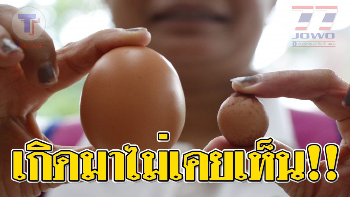 สุดอึ้ง! พบไข่ประหลาด..มีทั้งฟองเล็กฟองใหญ่ในใบเดียวกัน งานนี้ชาวบ้านแห่ดูเพียบ! งงกันตาแตกมันเป็นไปได้ไง!?? (ชมคลิป)