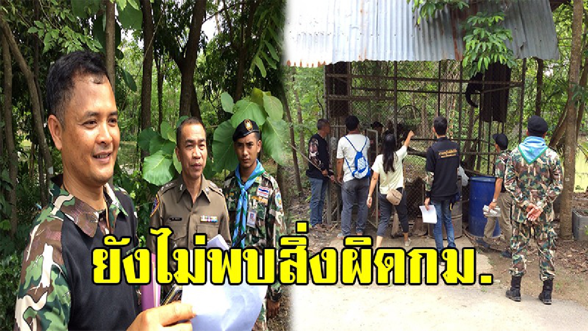ยังไม่พบสิ่งผิดกม.!!ตำรวจปคบ.สนธิกำลังปทส.เข้าตรวจค้นวัดอ้อน้อย หลังพบหมีและกวางดาว อยู่ระหว่างตรวจสอบ