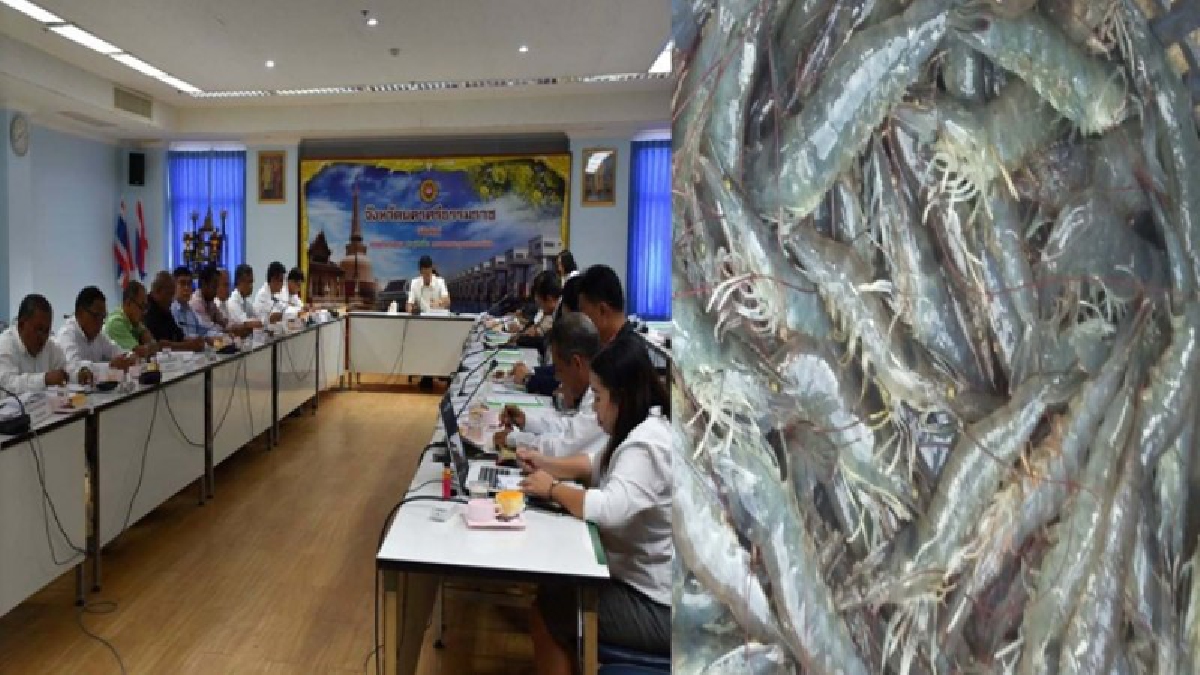 กุ้งราคาถูก!!เมืองคอนประชุมคณะอนุกรรมการพัฒนาการเกษตรและสหกรณ์แก้ปัญหาราคากุ้งตกต่ำ,สถาการณ์ผลไม้--เร่งติดตามผลฯโครงการไทยนิยมยั่งยืน!?