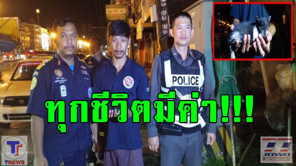ทุกชีวิตมีค่า!! วินาที จนท.กู้ภัยเร่งช่วยเหลือ "ลูกแมว" ตกท่อระบายน้ำ ช่วยปลอดภัย ชาวบ้านแห่ตีเป็นหวย (ชมคลิป)