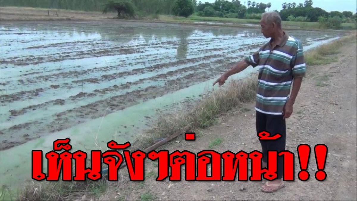 หนีหัวซุกหัวซุน ! 2 โจรผัว-เมียแสบ ขี่รถ จยย.พ่วงข้าง แอบขโมยเหล็กท่อสูบน้ำชาวนา เจ้าของนาเห็น..มันรีบเผ่นหนีมิ้งรถไว้ข้างทางไว้ในป่ากล้วย