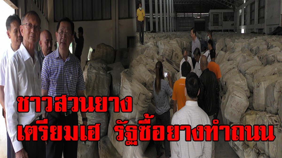 ชาวสวนยางเตรียมเฮ !! กรมชลฯรับงบ 3 พันล้าน เตรียมซื้อยางเกษตรกรทำถนน ผู้ว่าฯกยท.ตรวจโกดังสต๊อกยาง พบเสื่อมสภาพเพราะเก็บนาน