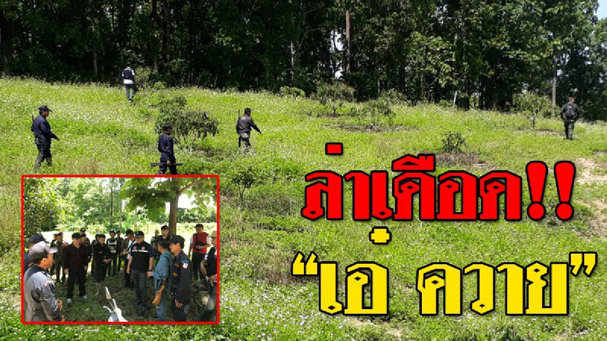 ตามดมกลิ่น..!! พบรอยเลือด "เอ๋ ควาย" เจออีกแล้วในห้างนา ป้ายไวนิลมีรอยเปื้อนเลือด คาดบาดเจ็บ นำสุนัขเข้าดมกลิ่นไล่ล่าด่วน!? (ชมคลิป)
