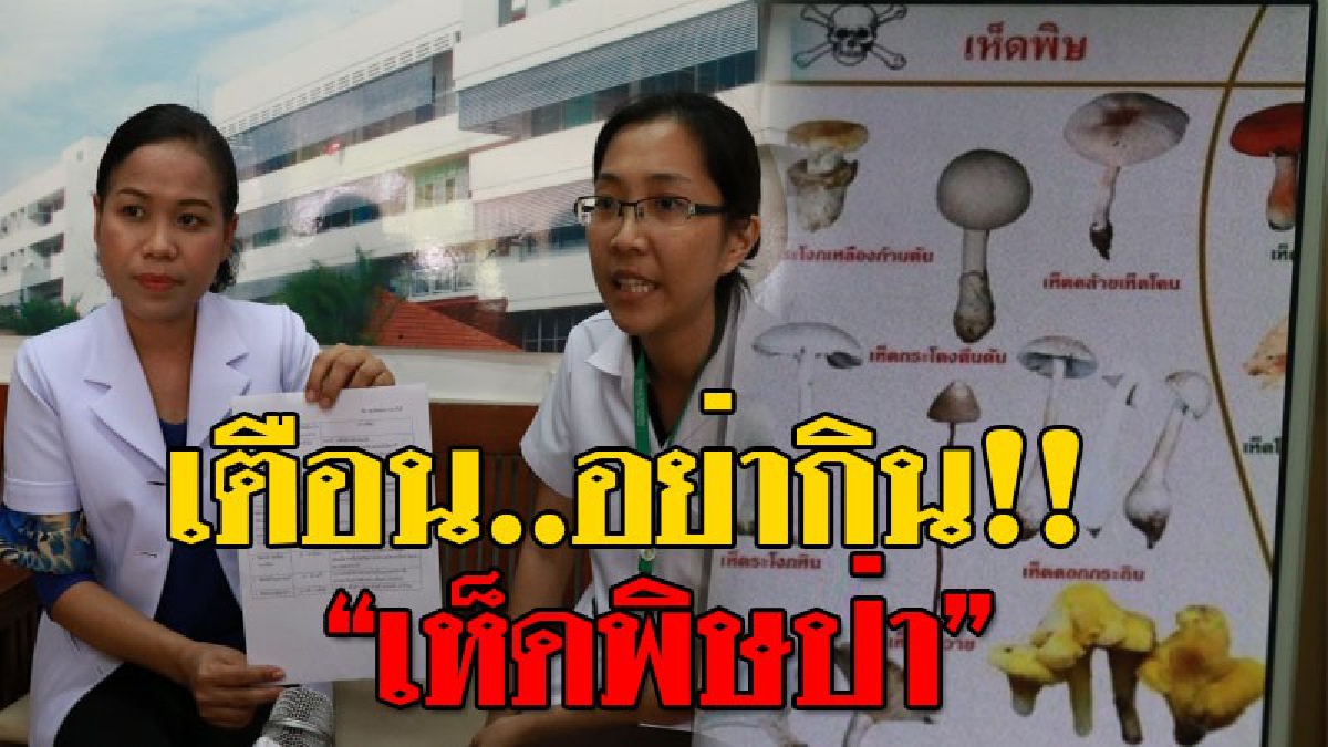 เตือนจงระวัง!! แพทย์โรงพยาบาลอำนาจเจริญ เตือนระวังกิน "เห็ดพิษ" ยิ่งเห็ดพิษป่าจะมีพิษร้ายแรง! ล่าสุดทำเสียชีวิต 1 ราย สาหัส 1 รายแล้ว