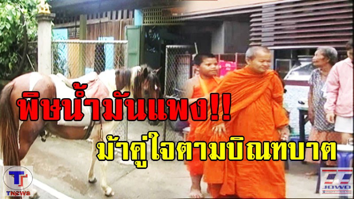 พิษน้ำมันแพง!! หนุ่มใหญ่โคราช หันไปขี่ม้าคู่ใจเดินตามหลวงตา...แทนการขับรถยนต์ (ชมคลิป)