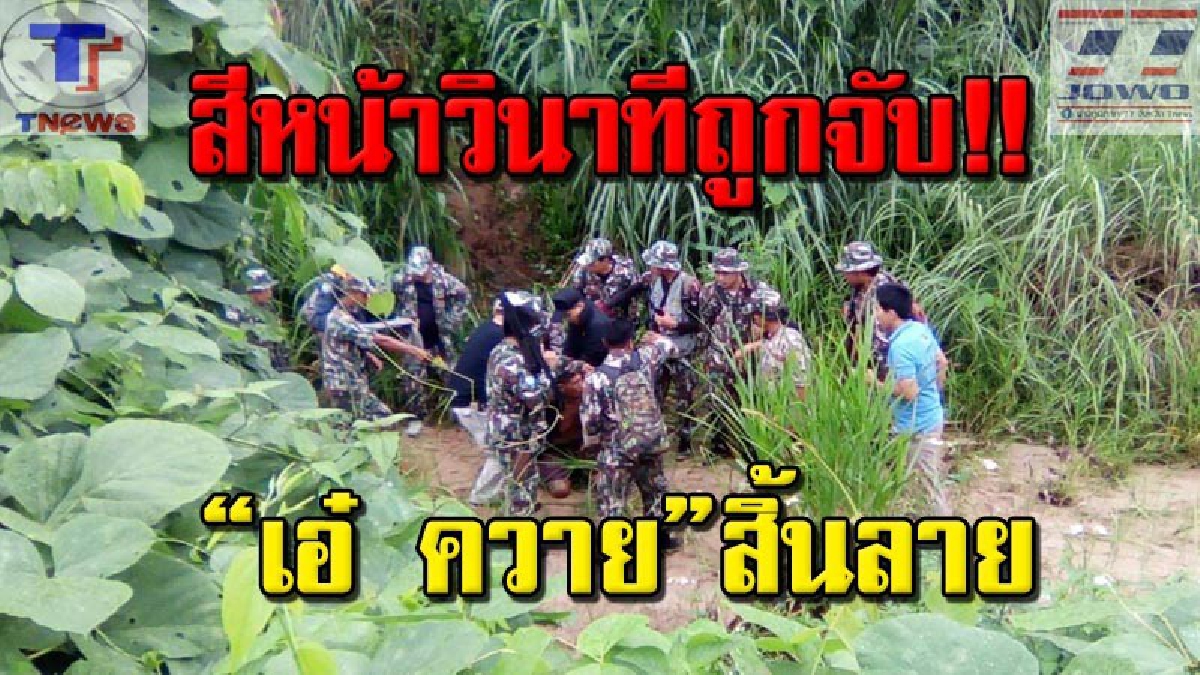 ปิดฉาก..! เผยคลิปวินาทีชาร์ตตัว“เอ๋ควาย”จนท.ป่าไม้เขตรักษาพันธุ์สัตว์ป่าดอยผาเมืองและขุนตานหลังหนี6วันอาศัยกล้วยกับมะม่วงประทังชีวิต