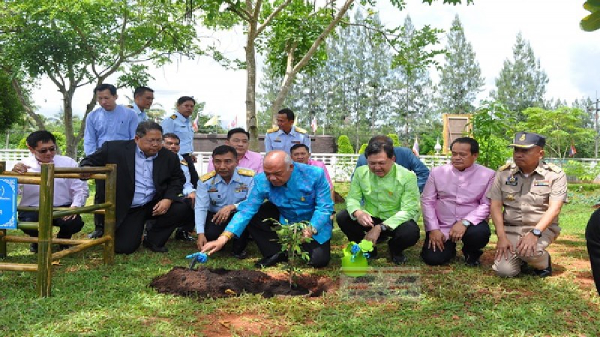 มหาดไทยจับมือกรมทรัพยากรทางทะเลและชายฝั่ง เร่งเดินหน้าปลูกต้นไม้ประจำรัชกาลที่10(มีคลิป)