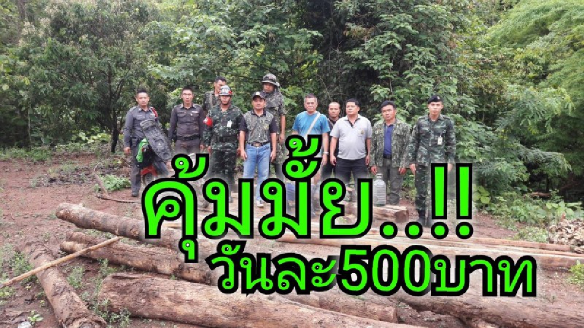 คุ้มมั้ย..!!รับจ้างตัดไม้เถื่อนพร้อมแปรรูปค่าแรงวันละ 500 บาท ถูกจับกุมดำเนินคดีพร้อมของกลาง