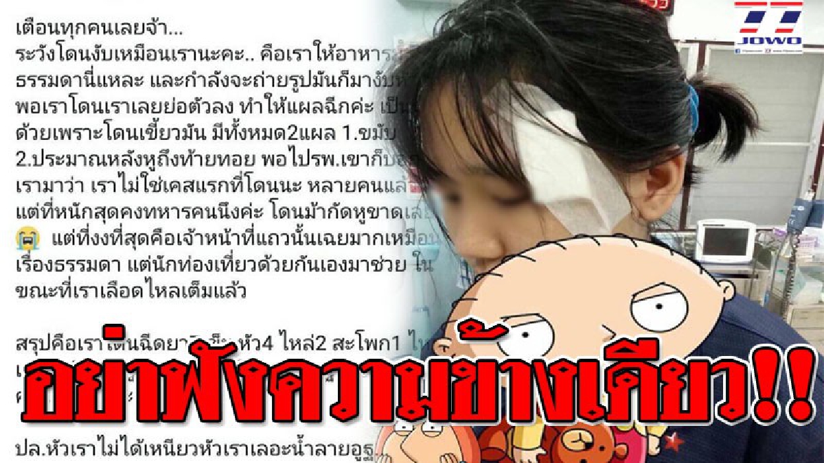 เปิดความจริงอีกด้าน ! โซเชียลแชร์กระหน่ำ สาวโชคร้ายโดน "อูฐ" วัดดังงับศีรษะขณะให้อาหาร ล่าสุดเจ้าหน้าที่ดูแลสวนสัตว์วัดออกมาชี้แจง!? (คลิป)