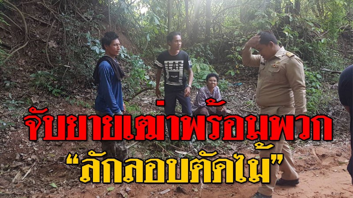 โธ่..ไม่น่าเลย!?? ยายเฒ่าวัย 61 ปี พร้อมพวก แอบลักลอบตัดไม้พะยูงในพื้นที่ป่า งานนี้..โดน จนท. งัดไม้เด็ด ไล่ล่าจับเข้าคุก!?? (คลิป)