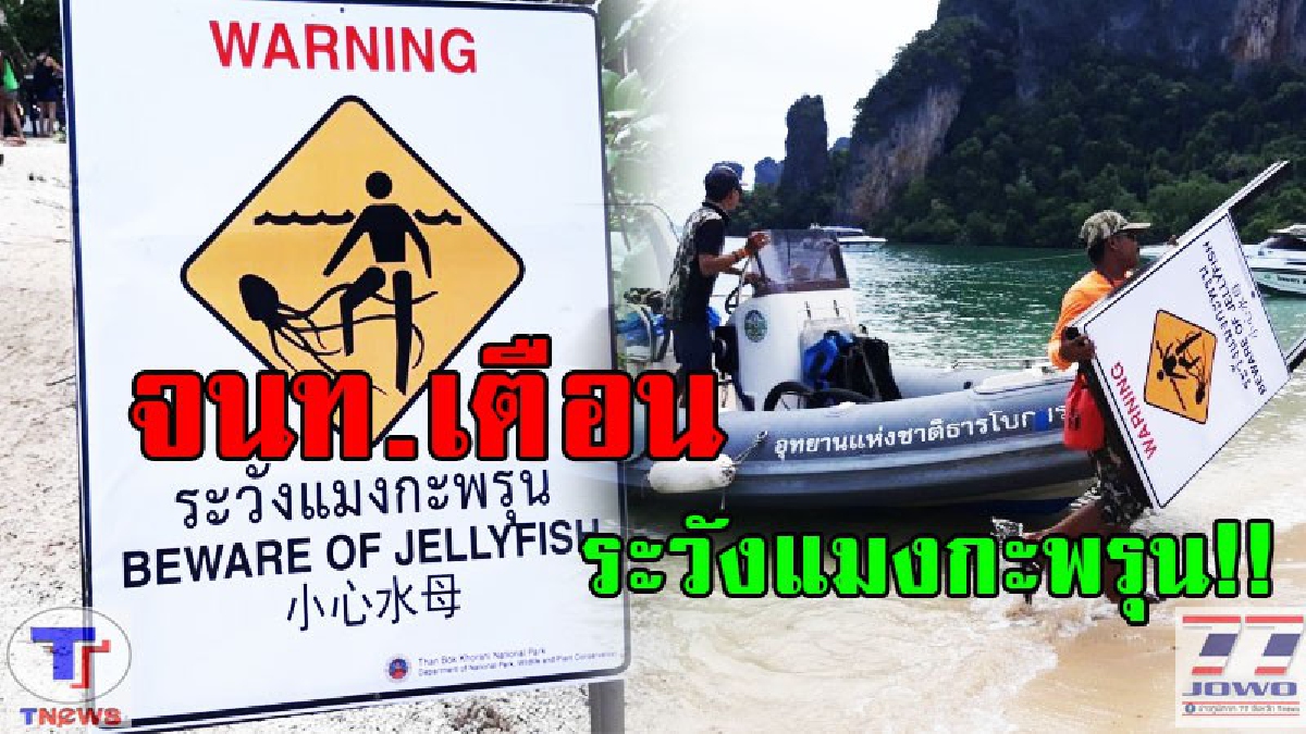 อช.ธารโบกจังหวัดกระบี่เตือน!! ติดตั้งป้ายพร้อมข้อความ "ระวังแมงกะพรุน" จุดเล่นน้ำเขตอุทยานฯ (มีคลิป)