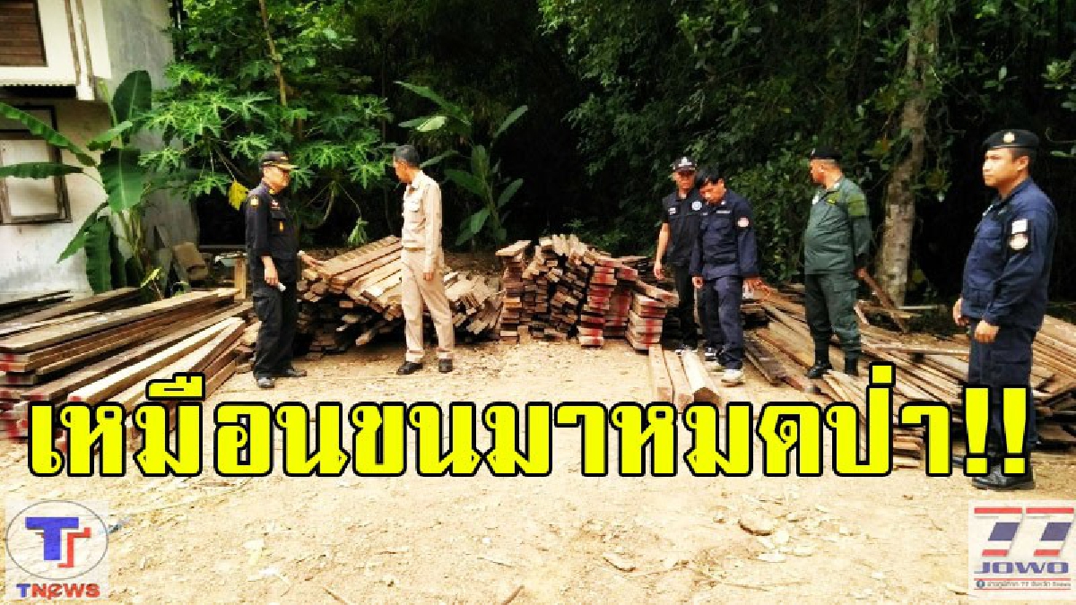 โซเซียลประนามยับ!!! ขบวนการมอดไม้สูงเม่น แอบซุกไม้กระยาเลยมากับไม้เรือนเก่าเพื่อนำมาทำเฟอร์นิเจอร์ หวังตบตา จนท.ซุกไม้เถื่อน (รายละเอียด)