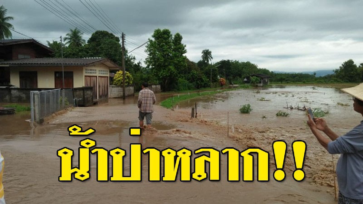 น้ำป่าหลาก! จากเขาสูงเวียงโกศัย ทะลักห้วยท่วมบ้านเรือนในหมู่บ้านแม่ปะดอย