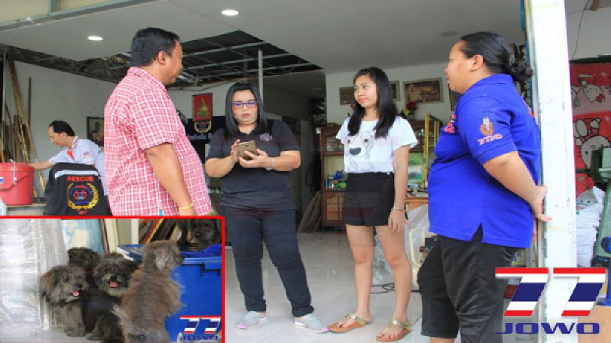 ทุกชีวิตมีค่า ! มูลนิธิว็อชด๊อกเข้าช่วย 12 สุนัข ที่ถูกจับยัดกระสอบทิ้งท้ายรถ ให้มาพักฟื้นที่ศูนย์วิทยุร่วมด้วยช่วยกัน!?? (ชมคลิป)