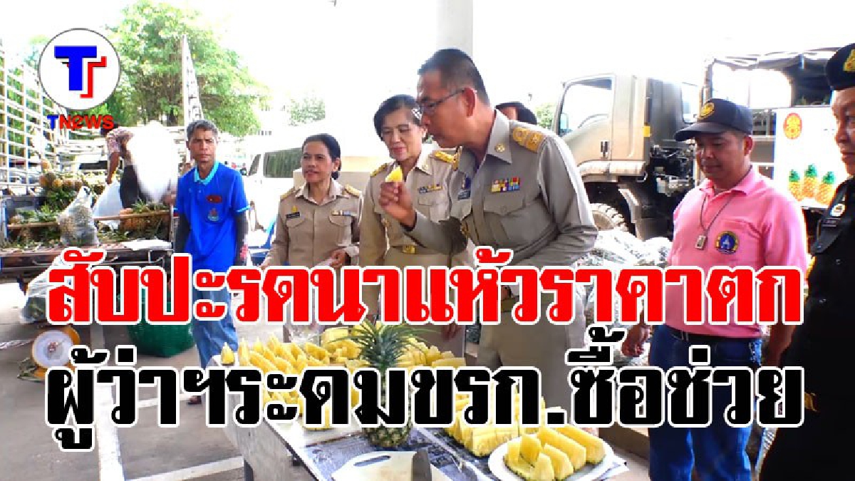 ราคาตกต่ำหนัก!! ชาวนาแห้วขนสับปะรดมากองขายหน้าศาลากลาง ทหาร-เรือนจำจัด 10 ตัน เลี้ยงกำลังพล-นักโทษ (มีคลิป)