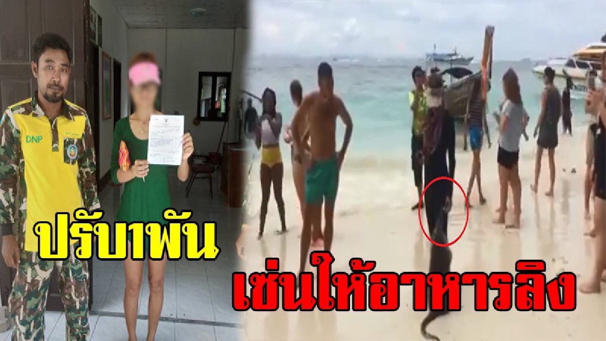 เตือนชัด ห้ามให้อาหารลิง !! จนท.ปรับสาวนำเที่ยวให้อาหารลิง เจอ 1 พันฐานฝ่าฝืน