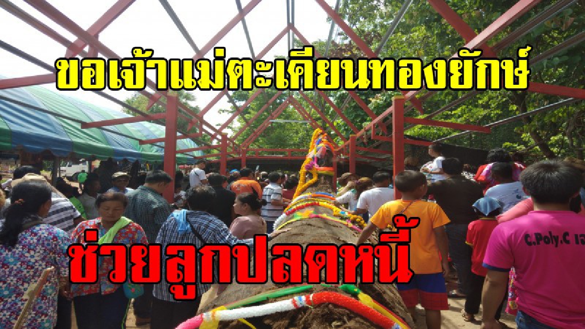 วัดแทบแตก !!คอหวยแห่มามืดฟ้ามัวดิน ขอโชคลาภเจ้าแม่ตะเคียนทองยักษ์อายุนับพันปีหลังถูกติดการหลายงวด