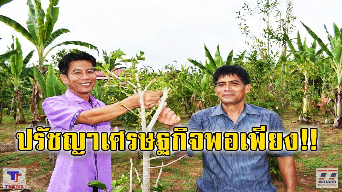 หลักปรัชญาเศรษฐกิจพอเพียง!! ครูโรงเรียนบ้านดงไร่วัย 60 ปี เตรียมตัวเกษียณด้วยวิถีเกษตร กับสวนผักหวานป่าที่ปลูกสลับกับกล้วยนวล (มีคลิป)