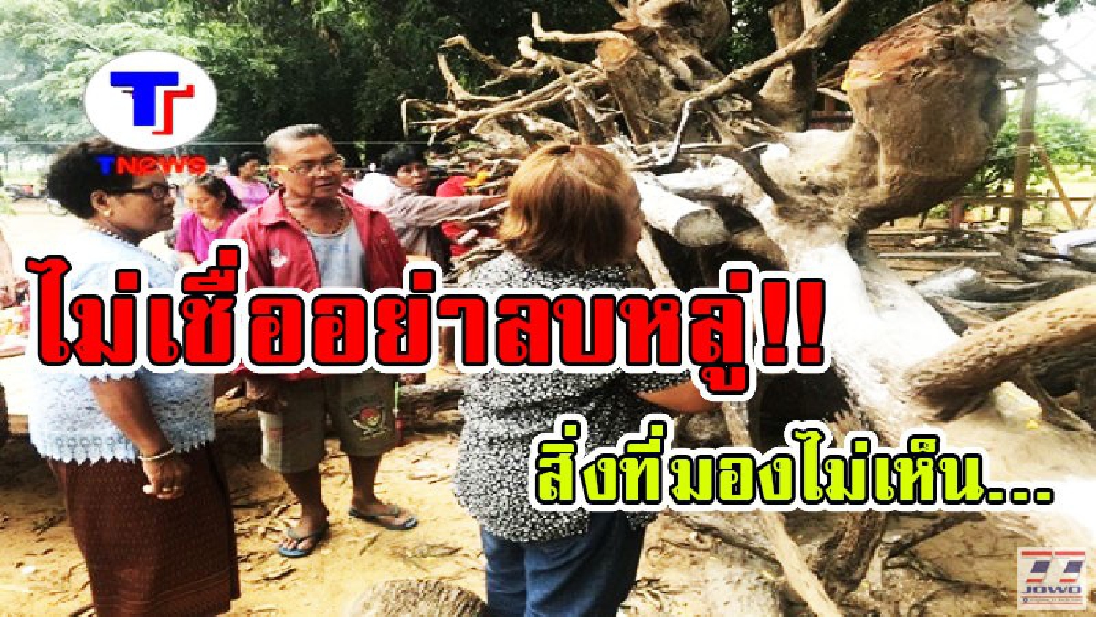 ไม่เชื่อ..ก็ต้องเชื่อ!! หว่านแหหาปลาแต่...เจอต้นตะเคียนคู่แทน อายุ 100 ปี เครนยกไม่ขึ้น...ต้องทำพิธีขอขมาอัญเชิญไปไว้วัดถึงยกได้ (มีคลิป)