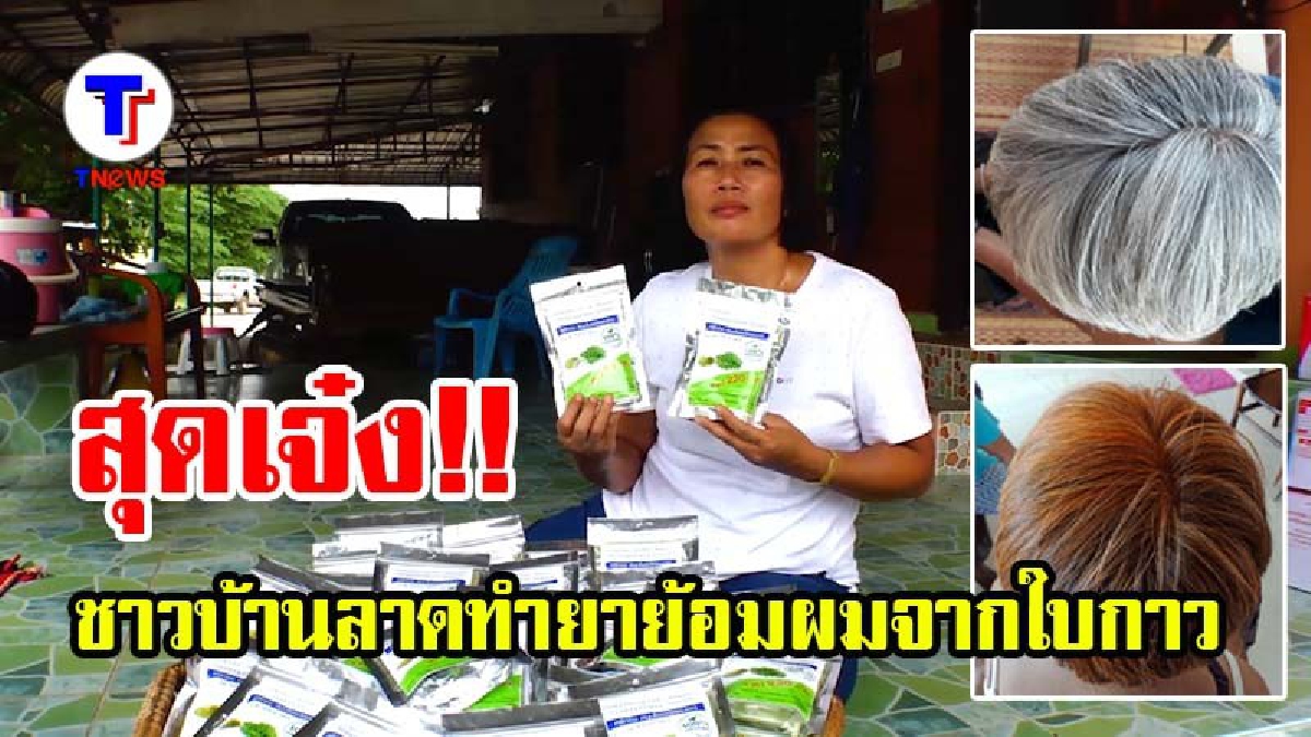สุดเจ๋ง!! ชาวบ้านลาดทำยาย้อมผมจากใบกาว-ใบครามใช้เอง ปลอดภัยไร้สารเคมี (มีคลิป)