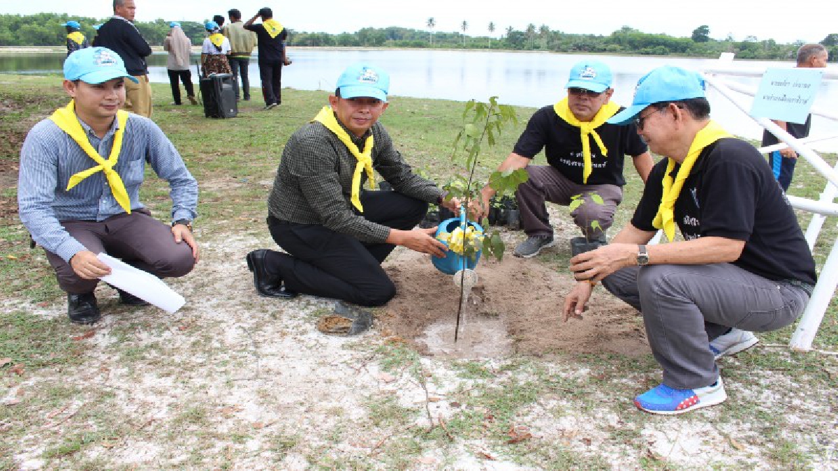 ชาวนราธิวาสร่วมปลูกต้นไม้ในวันต้นไม้ประจำปีของชาติ