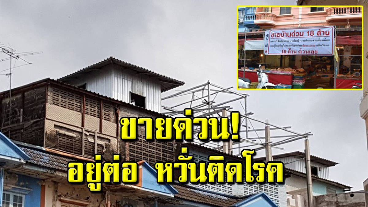 ชาวบ้านเดือดร้อน นายทุนชาวจีนกว้านซื้ออาคารพาณิชย์ใจกลางเมือง ขยายกิจการ "บ้านนกนางแอ่น" ต้องประกาศขายตึกหนี หวั่นติดโรค