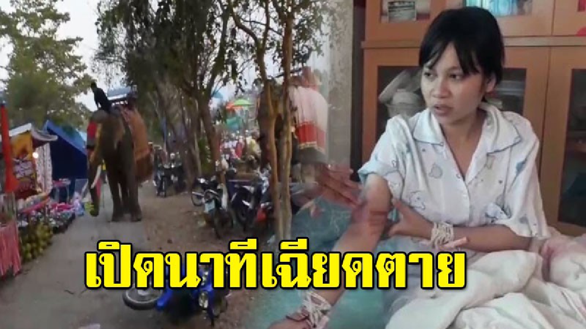 คืบหน้า นาทีเฉียดตาย น้องไข่มุก เล่าถึงเหตุการ์ถูกช้างใช้งวง รวบตัวยกร่างพุ่งตัวชนอัดร้านค้าและต้นไม้รอดตายเหลือเชื่อ
