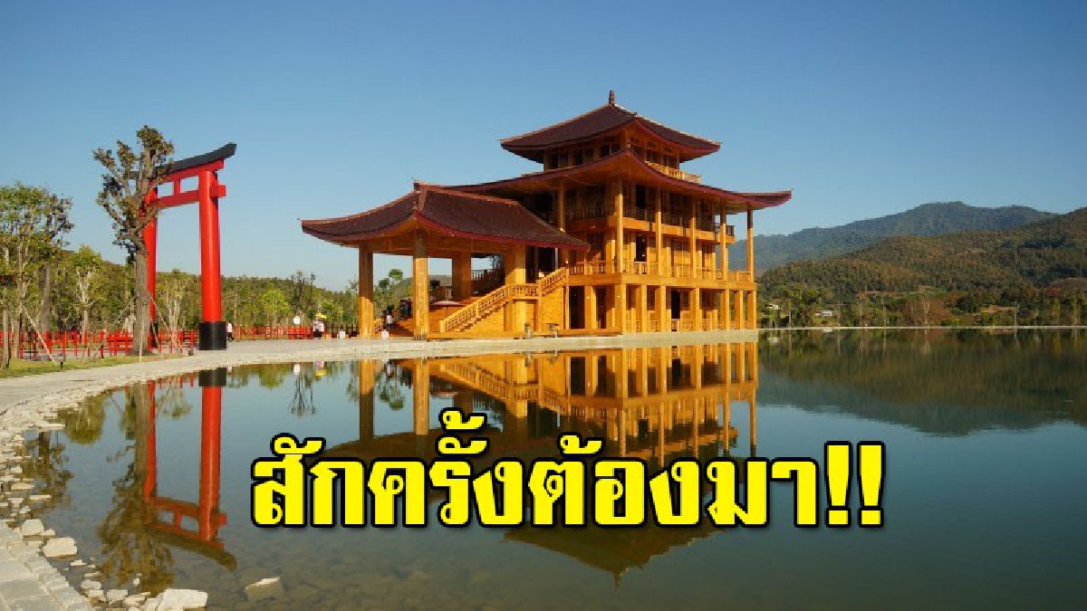 ต้องมาเห็นกับตาตัวเอง ชมดอกซากุระแท้จากญี่ปุ่น ที่ฮิโนกิแลนด์