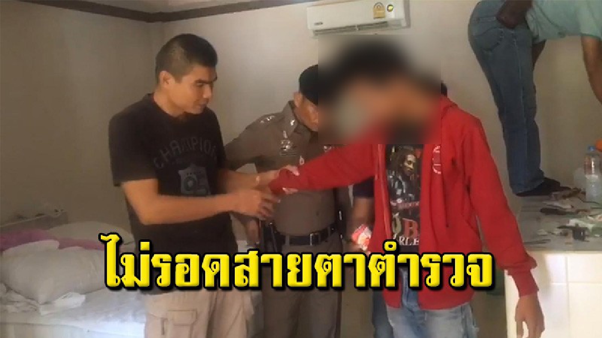 เอเย่นต์วัยโจ๋หัวใส วางอุบายเปิดรีสอร์ททีเดียว 4 ห้อง ไว้หลอก จนท.ก่อนซุกยาบ้าในกล่องนม แต่ไม่รอด