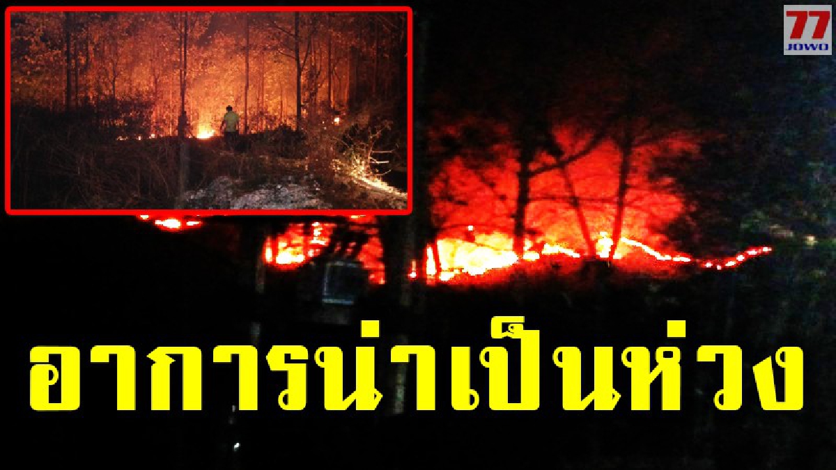 ลำปางวิกฤตหนัก!! ไฟป่าโหมไหม้รุนแรงหลายจุดในพื้นที่รอบเมือง หลายหน่วยงานระดมสุดกำลังดับไฟอย่างเร่งด่วน