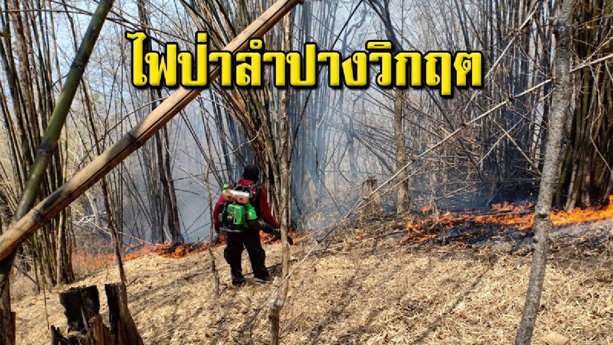ไฟป่าลำปางยังน่าห่วง พบหลายจุดวิกฤตเพลิงโหมลุกไหม้รุนแรง จนท.ระดมทั้งทางอากาศภาคพื้นดินดับไฟ