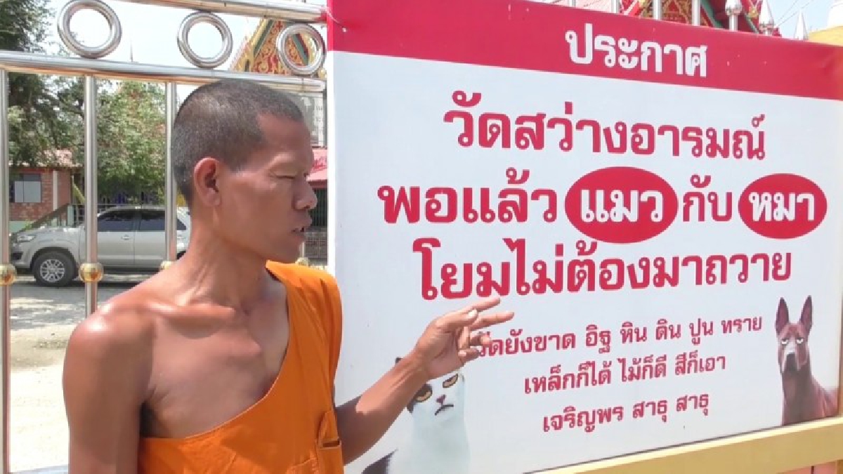 เยอะจนรับไม่ไหว! วัดดังติดป้ายประกาศ หลังชาวบ้านนำหมา-แมวมาปล่อยวัดเพียบ "พอแล้ว โยมไม่ต้องนำมาถวาย"