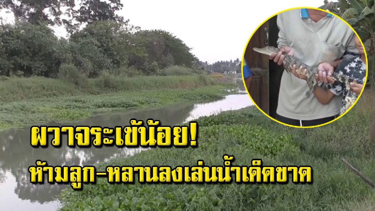 หนุ่มใหญ่วัย 52 ปี วางตาข่ายกลางคลองติดลูกจระเข้ ชาวบ้านตระหนก หวั่นตัวแม่อาจอยู่ในคลอง