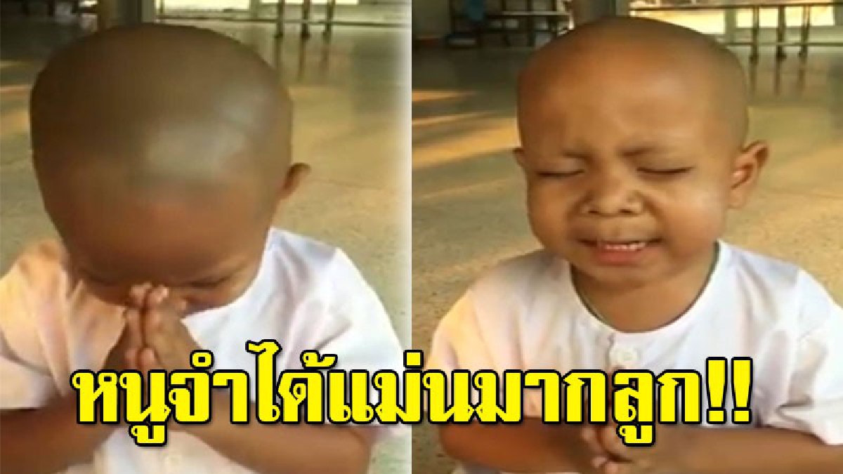 น่ารักจังเลยลูก!? "น้องโชค" ท่องศีล 10 ได้ฉะฉาน งานนี้ชาวเน็ตแห่ชมยกใหญ่น่ารักน่าเอ็นดูแท้