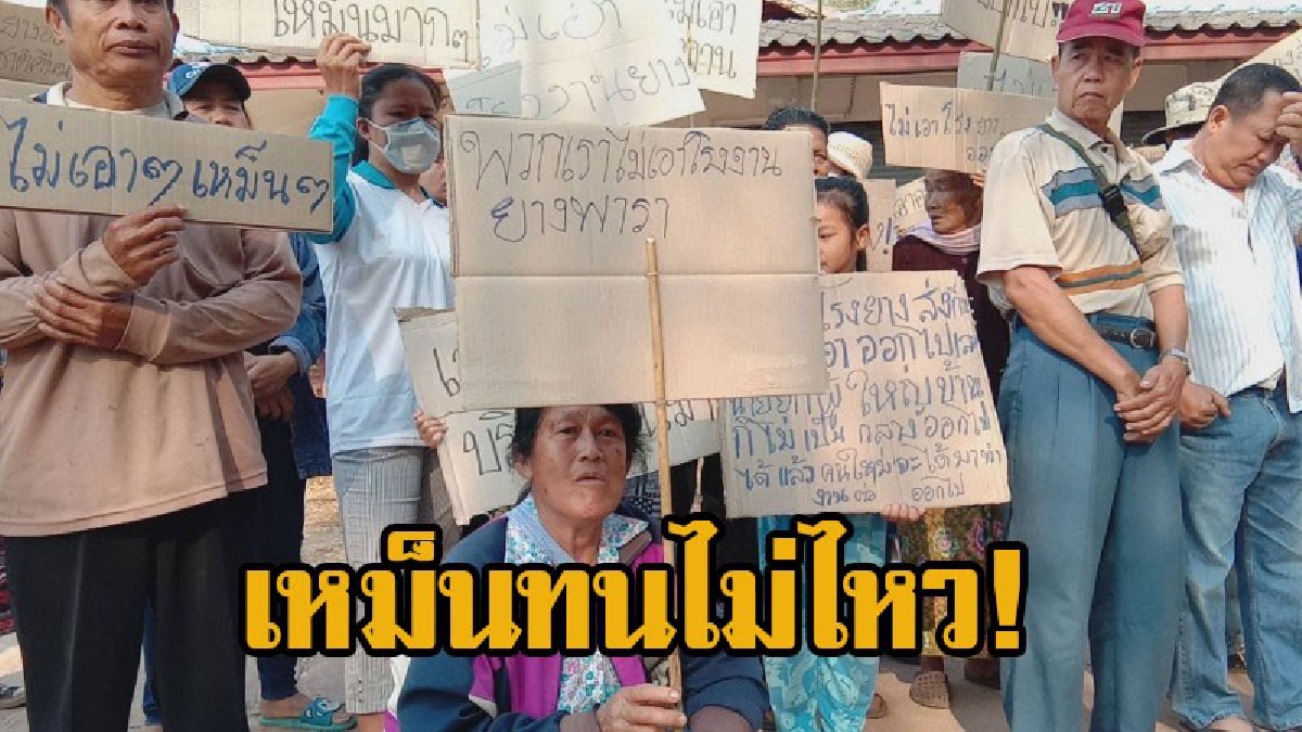 สุดทน!! ชาวบ้านพะเยารวมตัวประท้วง !!! ทนเหม็นจากโรงงานรับซื้อขี้ยาง มากว่า 2 ปี หลังร้องเรียนทุกที่แต่เรื่องไม่คืบ